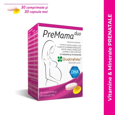 premama e commerce 01